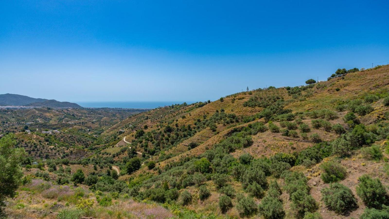 Cortijo El Mirador Frigiliana By Ruralidays 빌라 외부 사진